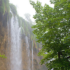 photo "Water wall"