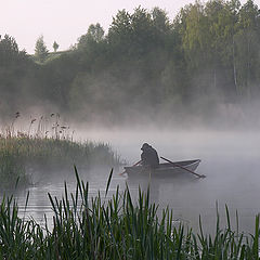 фото "На краю тумана"