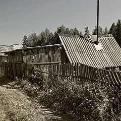 фото "Про баньку и сарай"