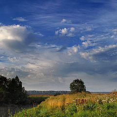 photo "Colors in August AM"