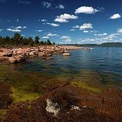 photo "Colors of Sweden"