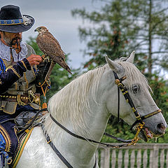 photo "Falconry"