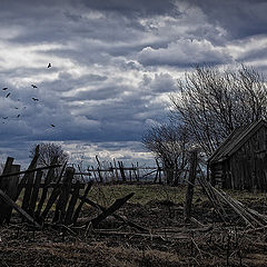 фото "Жизнь... за гранью"