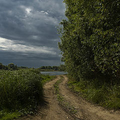 фото "Перед дождем..."