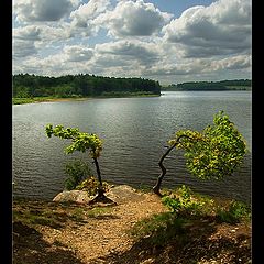 photo "Wet Gate"