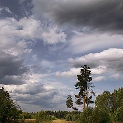 фото "Август."