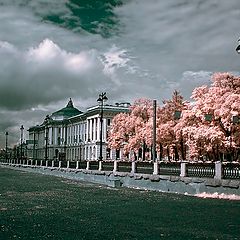 photo "infrared S.Petersburg"