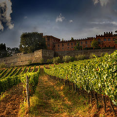 фото "Castello di Brolio"