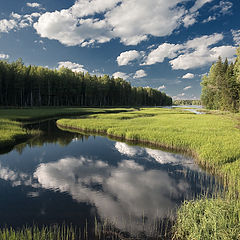 фото "Тишина речки"