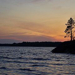 photo "White nights in Lake Ladoga"