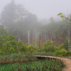 photo "Planked footway of Plitvice-2"