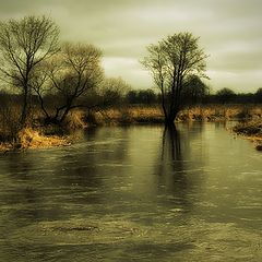 фото "март"