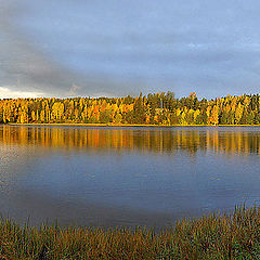 photo "Autumn colors of Suomi."