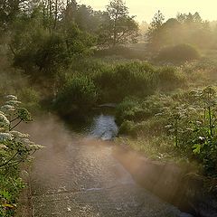 photo "About morning fog"