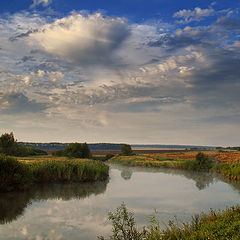 photo "Misty morning"