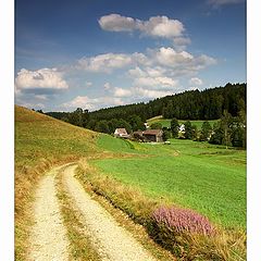 photo "the rhythm of summer"