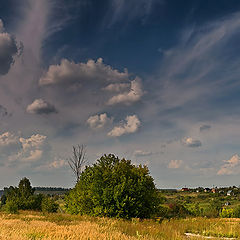 photo "Take a brake. Look at the sky."