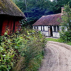 фото "Landscape."