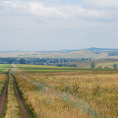 фото "Раздолье моё"