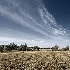 фото "Стерня"