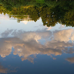 photo "Lake in the forest"