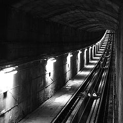 фото "Tunnel"