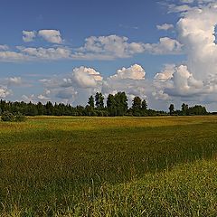 фото "Денёк августа"