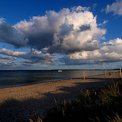 фото "A day at the Beach"