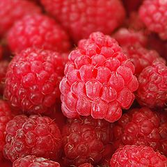 photo "A raspberries."