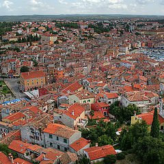 photo "From height of the bird's flight"