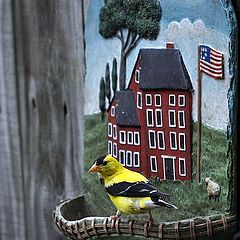 photo "Non-Russian sparrow II or Home sweet home"