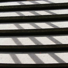 фото "Shadow."
