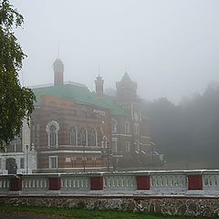 фото "В тумане."