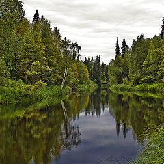 фото "Олма."