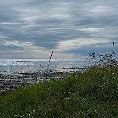 photo "Соловки, мыс Печак"