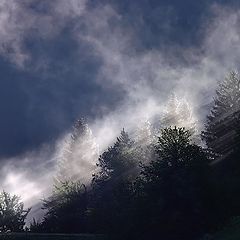 фото "First light and fog"