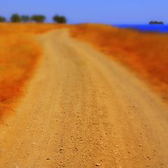 photo "Yellow brick road"