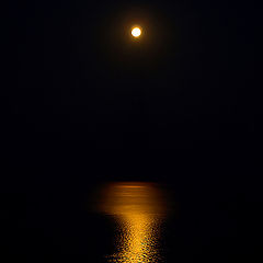 photo "Moon Path"