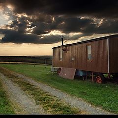 photo "Twilight nomads"