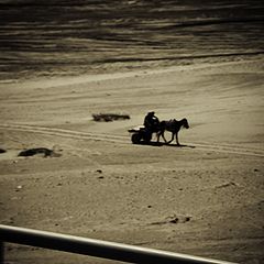 photo "Sand Rider"