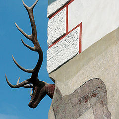 photo "Deer in the wall"