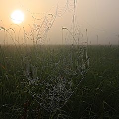 фото "Утро"