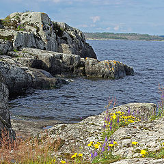 photo "Ladoga"