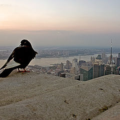 фото "Sunrise in New York"