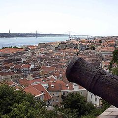 photo "Lisbon in my heart"