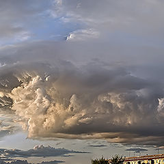 photo "Invasion of the Shark"