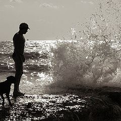 photo "making friends"