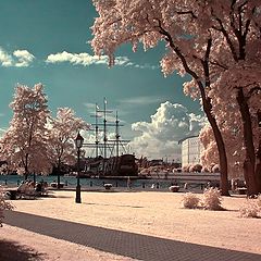 фото "infrared Петербург"