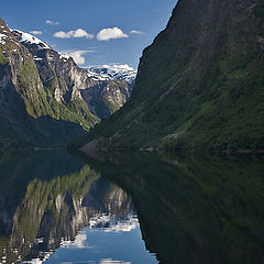 photo "mirrors fjord"