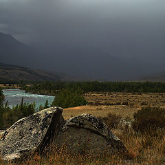 photo "***"